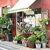 fleuriste - Niort